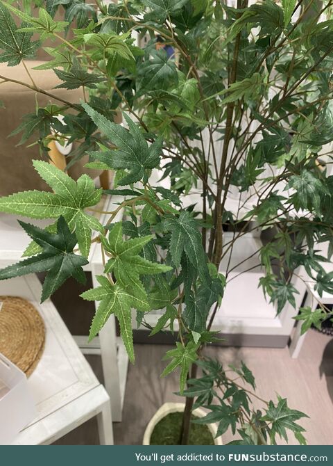 Target is selling fake marijuana trees