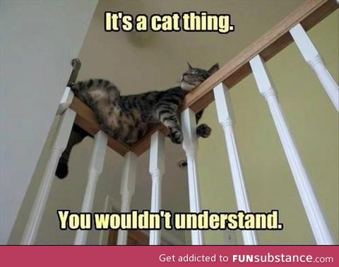 Cat logic