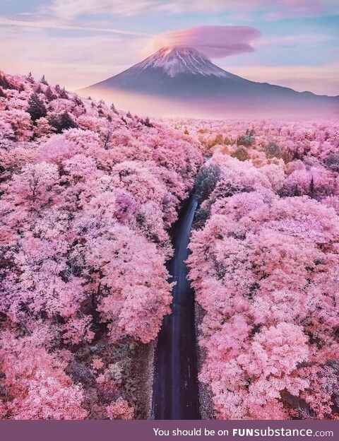 Mount fuji japan