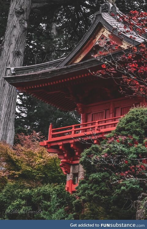 Japanese tea garden, san francisco, ca