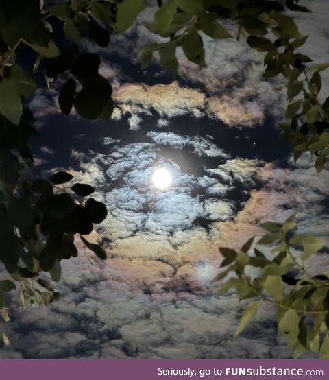 Full moon