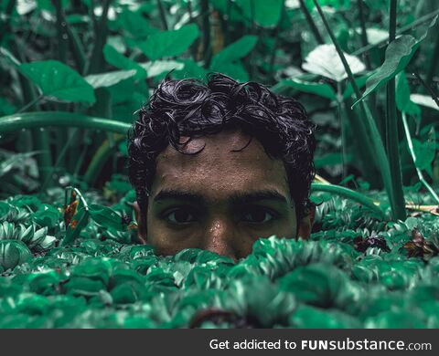 Hide and Seek in Downpour