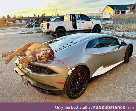 Cougar ratchet strapped to a Lamborghini. Taken in Idaho