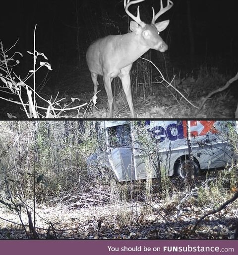 Trail camera caught a fedex driver using an atv trail through the woods as a shortcut