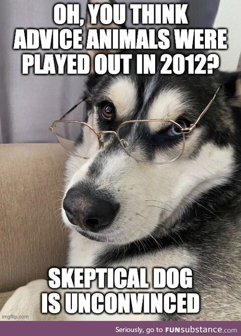 Skeptical Dog is unconvinced