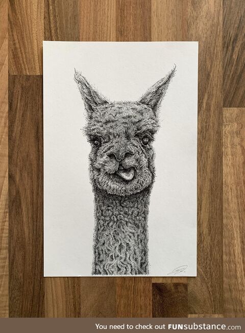 Alpaca stippling art