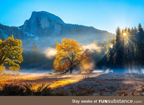 Yosemite national park