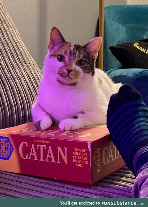 Settler of Catan