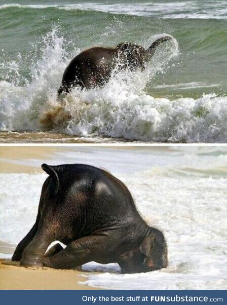 Happiest baby elephant ever