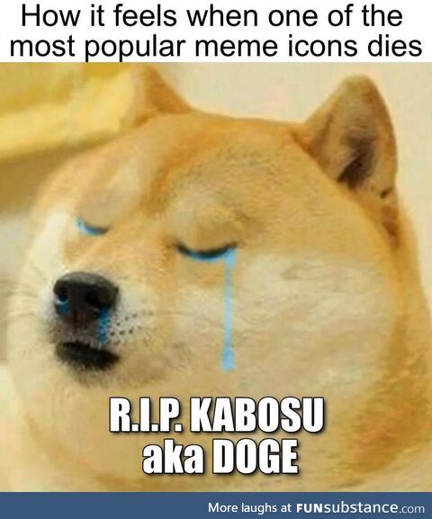 Such Sad. Much Tears