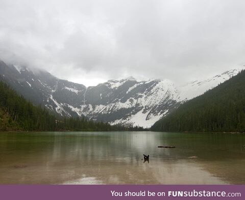 Avalanche Lake in the Spring [OC] 2022