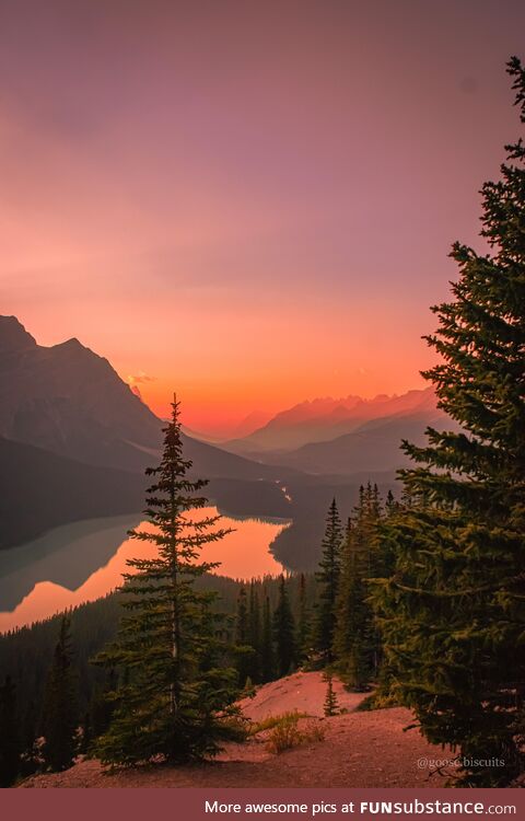 Setting Sun at Peyto Lake