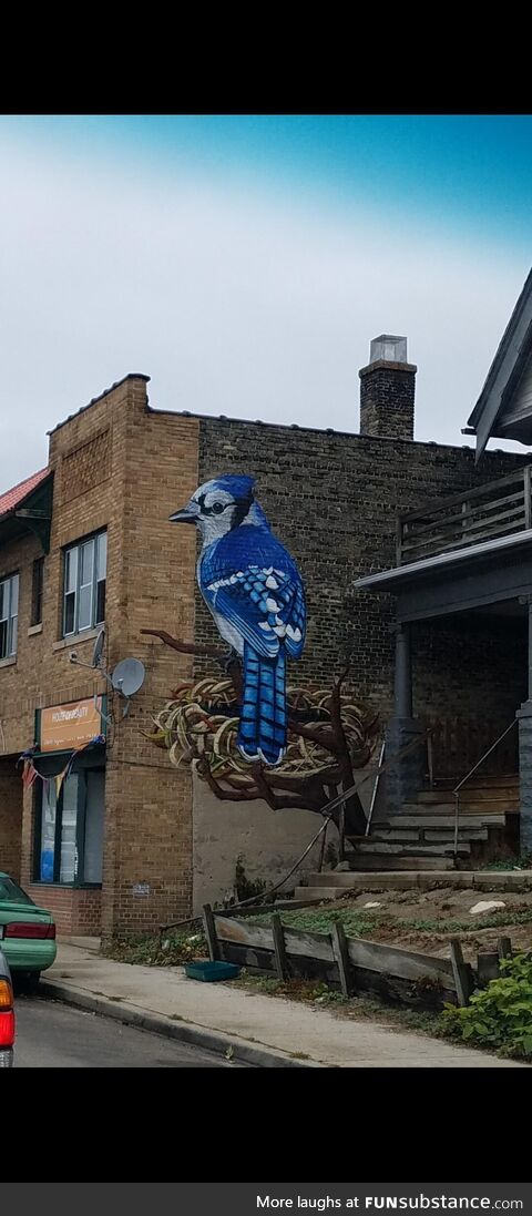 This amazing blue jay graffiti in 53205 Milwaukee. Beauty can rise from the rubble