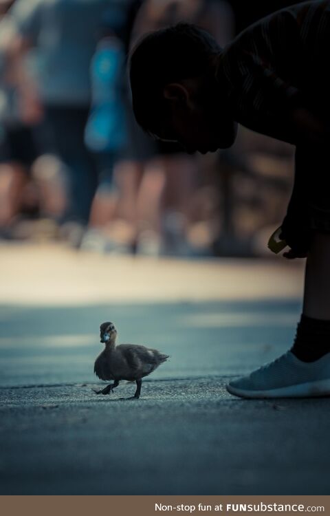 A child curiosity