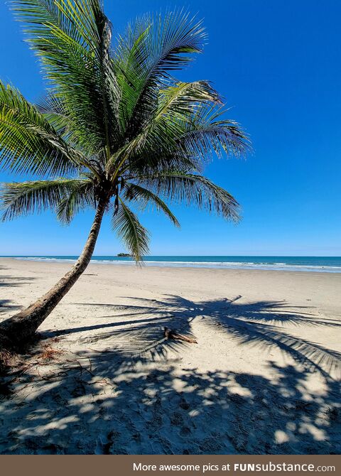 [OC] Tropical paradise, near Cape Tribulation, Australia