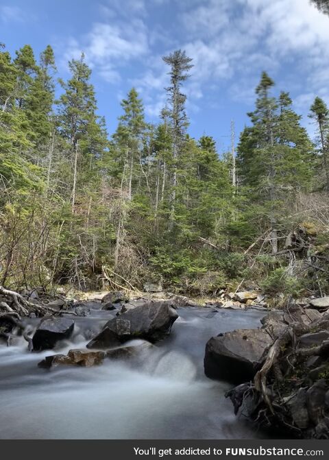 Hiking around the town called d*ldo in Newfoundland