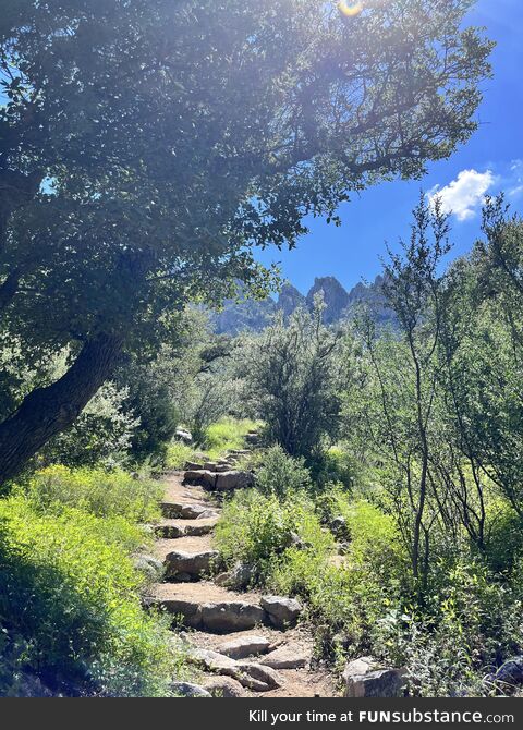 (oc) organ mountains path