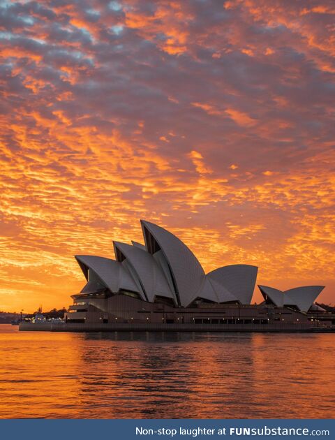 The Opera House at dawn