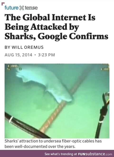 Shark Attack will have a new meaning