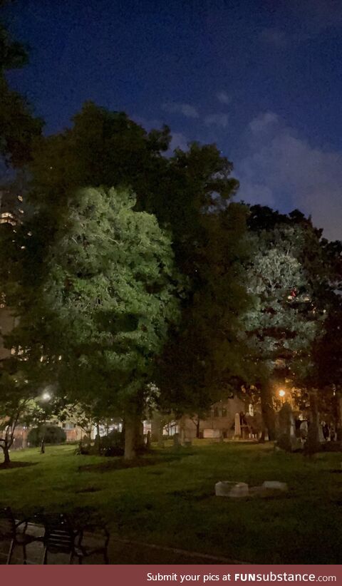 Cemetery in Charlotte, NC projected the faces of unnamed slaves whose graves are the