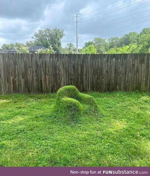 Lawn chair 6 month progress