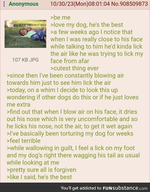 Anon has a dog