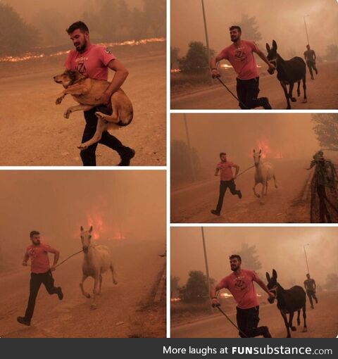 Hero in Greece going above and beyond to save animals from forest fire