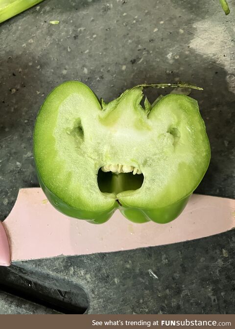 Green bell pepper: A cross-section