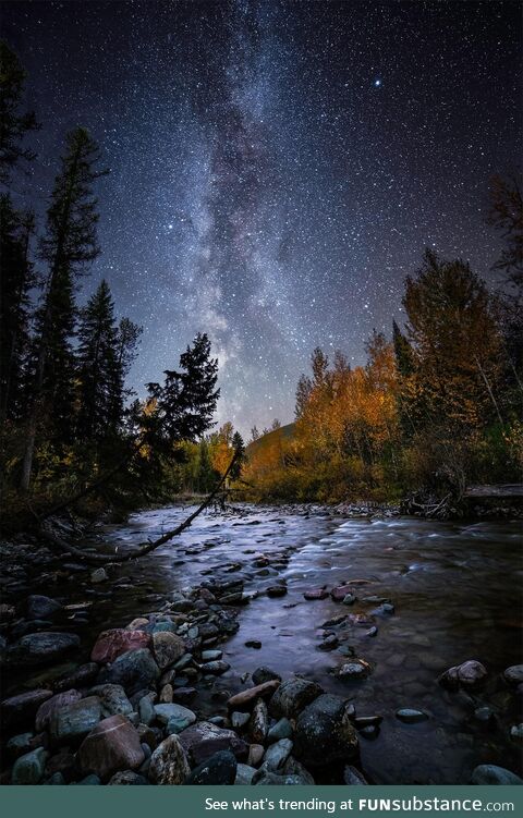 Oro y Plata "Gold and Silver" at Flathead National Forest, Montana