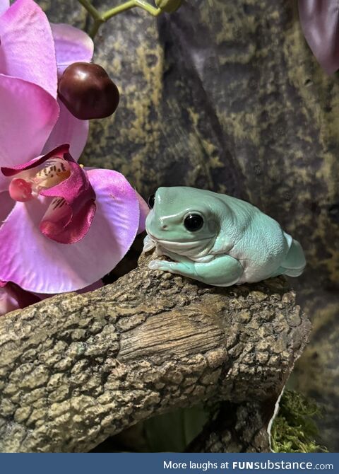 Stopping to Smell the Flowers