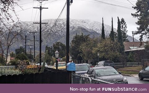 Snow in Los Angeles