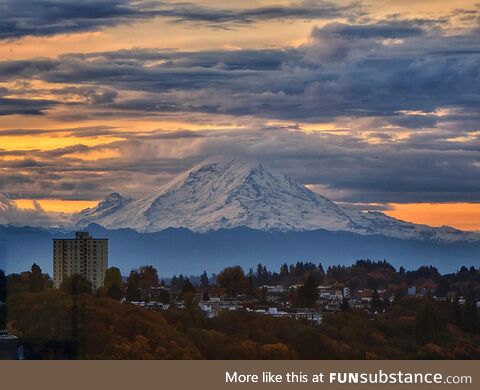 <3 Seattle mornings