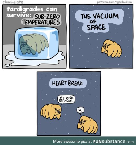 Tardigrades