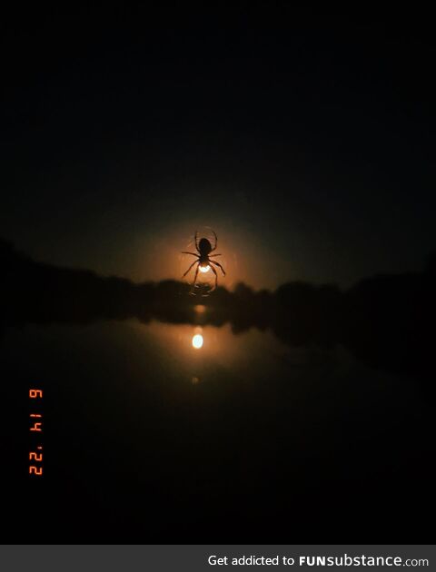 Strawberry moon/spider moon