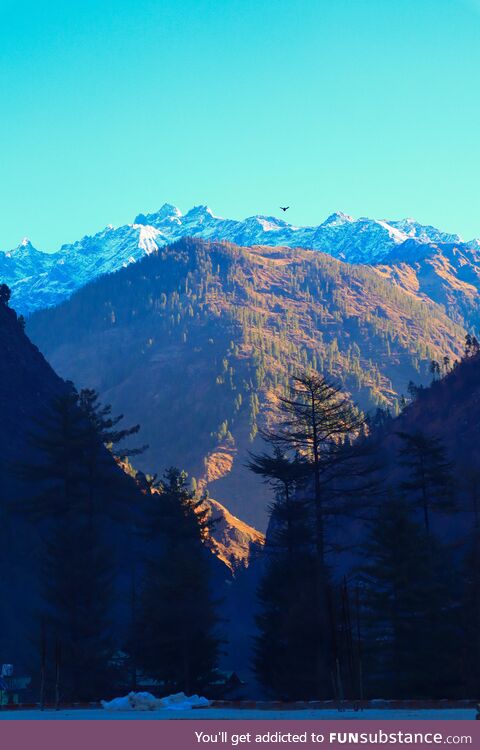 Good morning from kasol, India