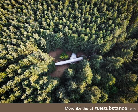 Plane home in the woods if Oregon [OC]