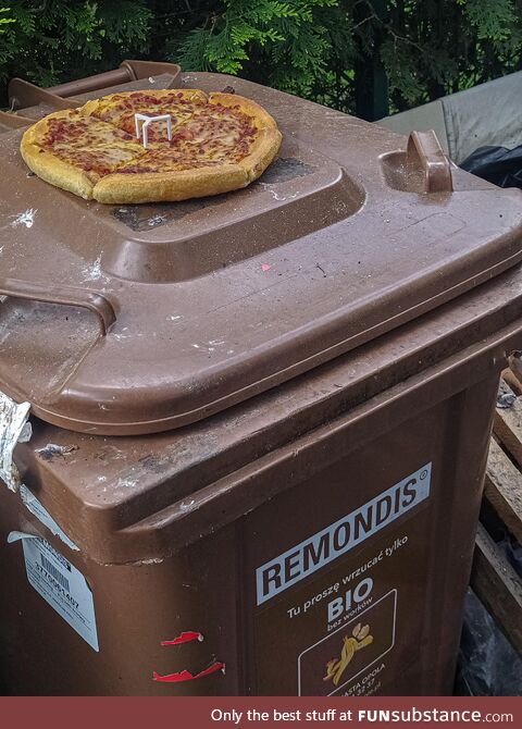 Someone left a whole pizza out for the birds