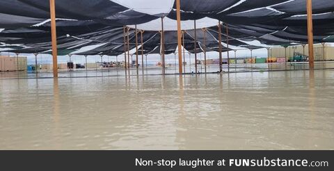 Burning Man shutting down due to...Get this...Flooding