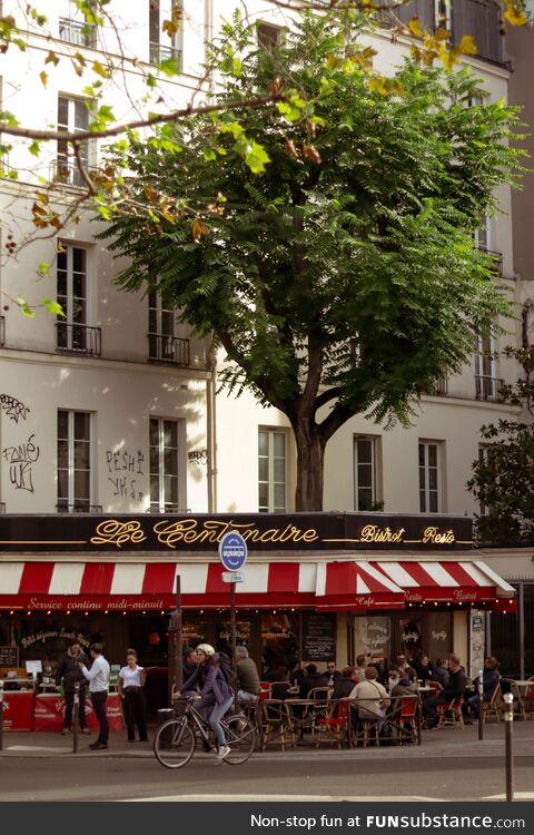 A bar and a tree in Paris