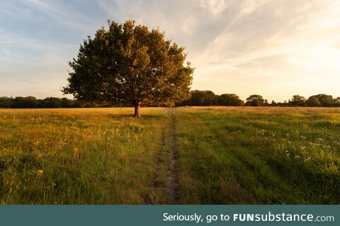 There's something peaceful about golden hour