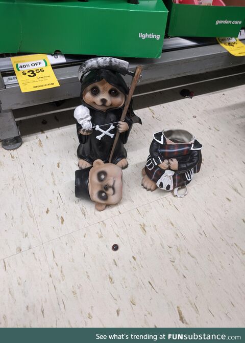 RIP MR Meerkat found this guy broken in woolies so we set this guy up for a laugh