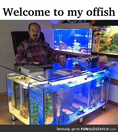 The CEO of Only Fish