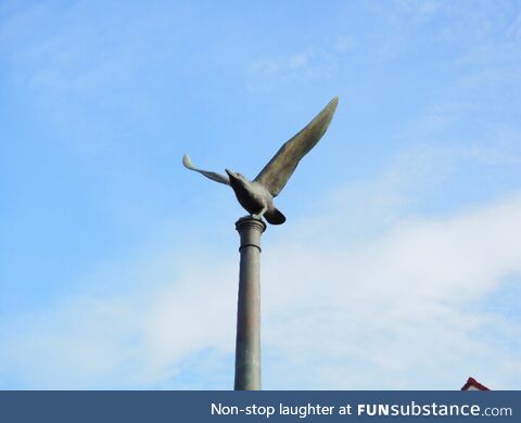 A seagull statue