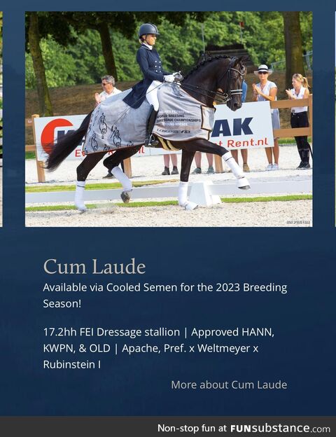 The name of this horse that sells semen