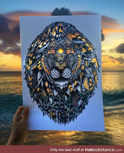 Artist Draws Lion and makes cut outs to have image colored by its background