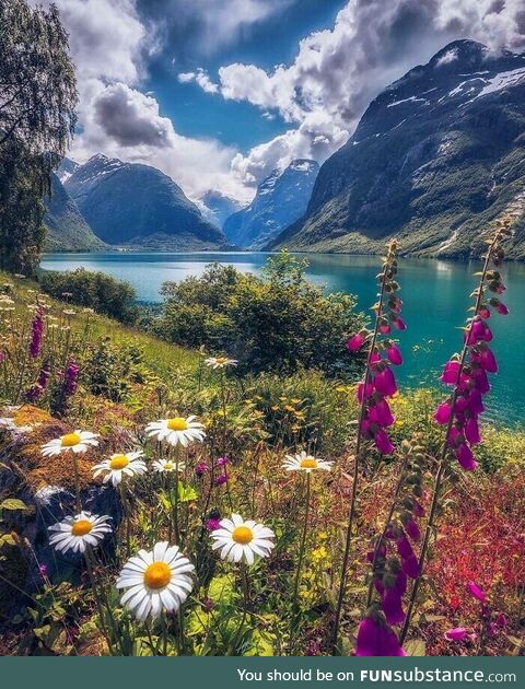 Summer Day in Lovatnet, Norway