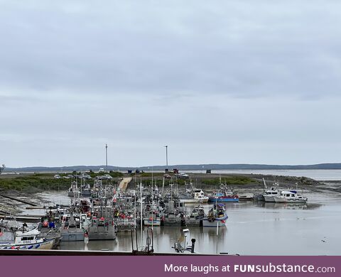 The dwindling fishing harbor at the end of the season in Dillingham, AK [OC]