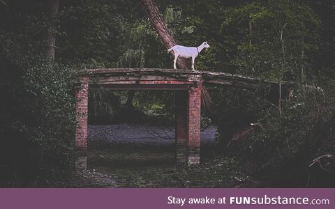 Standing guard at an abandoned castle in Belgium