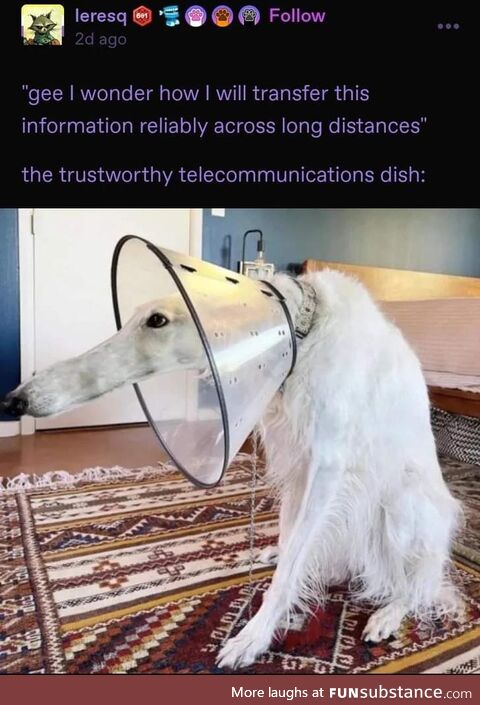 Satellite doggo