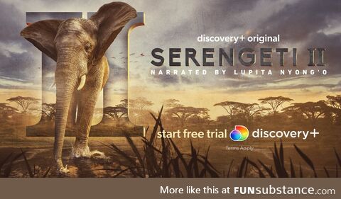 Welcome to the epic next chapter of our story. Stream Serengeti II on discovery+. Start